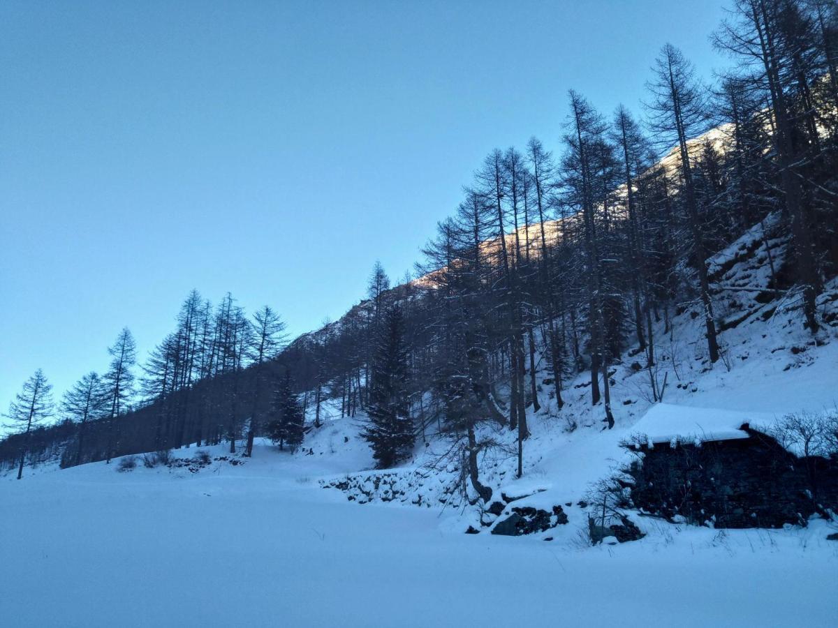 Antica Casa Di Montagna Maison Bovard Valgrisenche Eksteriør bilde